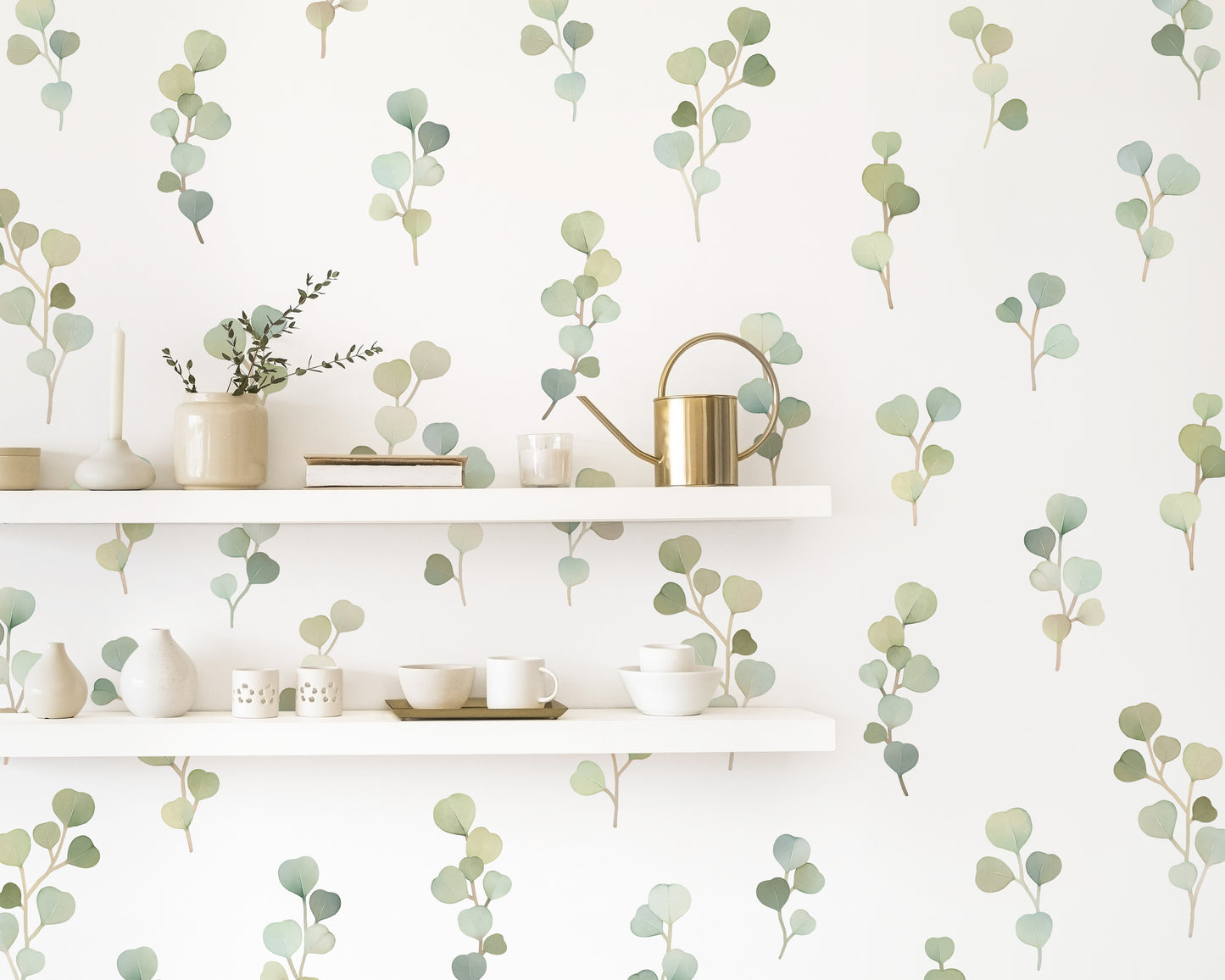 Eucalyptus Branches
