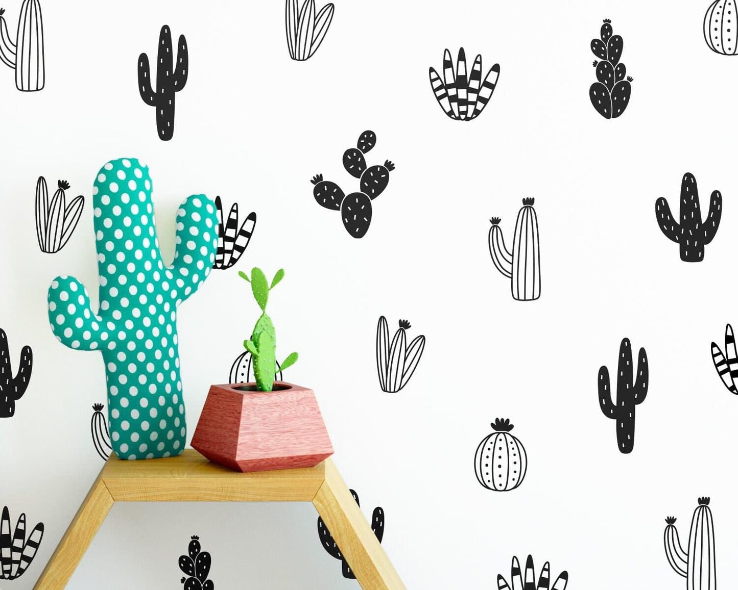 Cactus Dreams