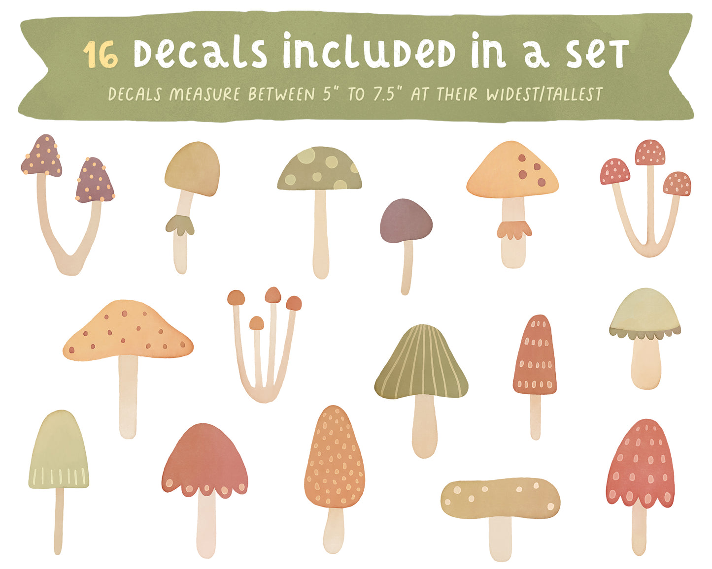 Mushrooms / Harvest Palette